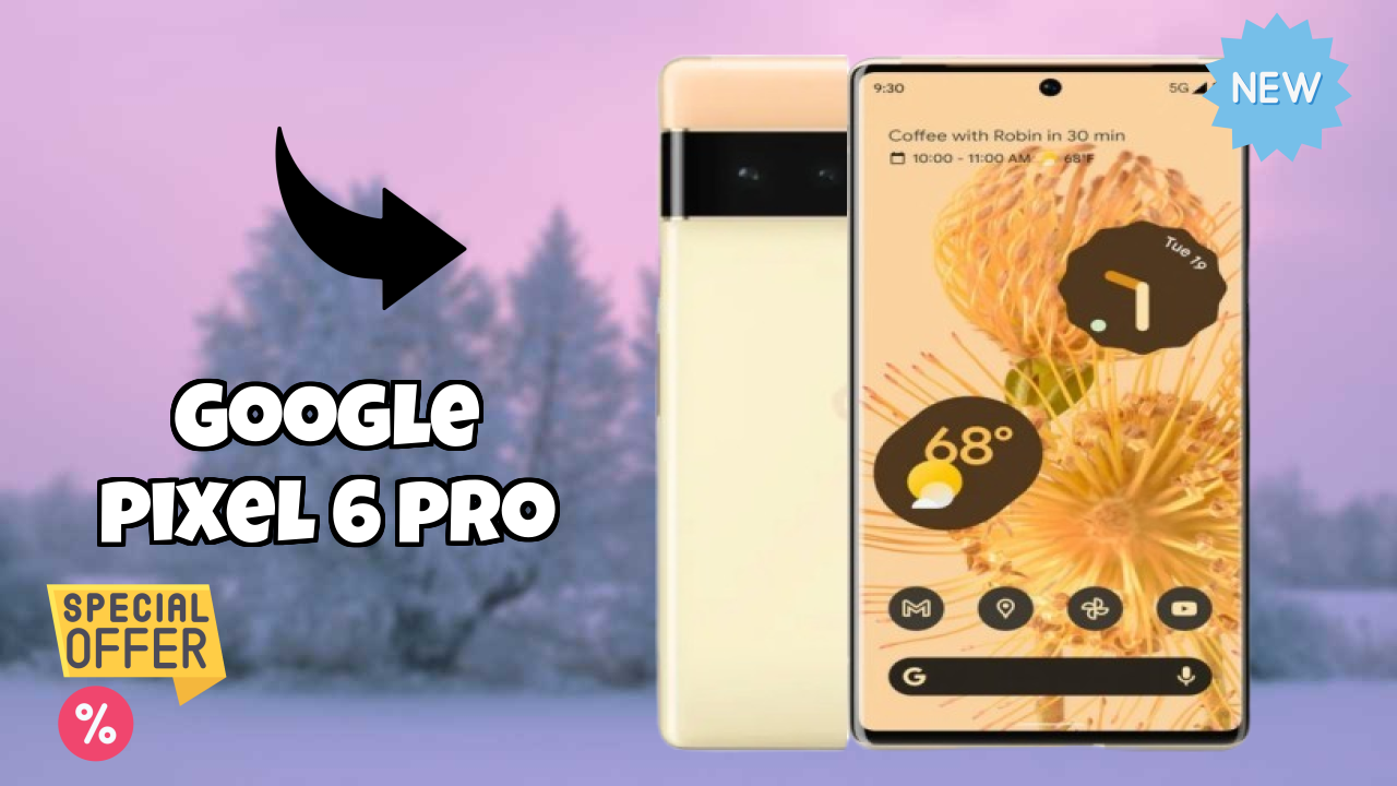 Google Pixel 6 Pro at ₹29,999 - Complete Buying Guide