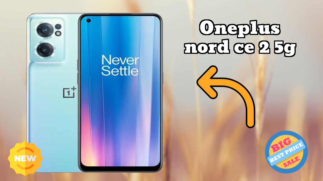 OnePlus Nord CE 2 5G Camera Quality: 64 MP + 8 MP + 2 MP Rear Camera Samples Review