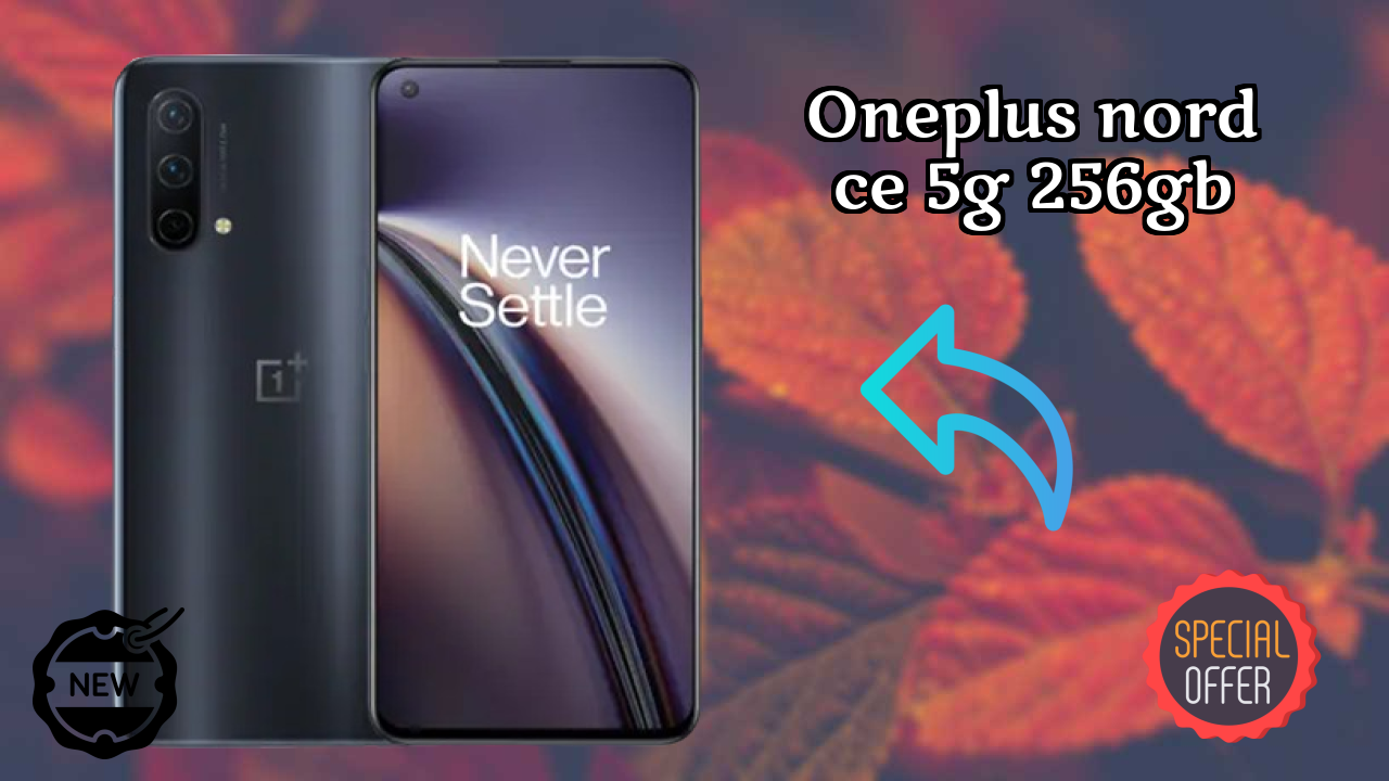 OnePlus Nord CE 5G 256GB Camera Review: 64 MP + 8 MP + 2 MP Rear Camera Photo Test